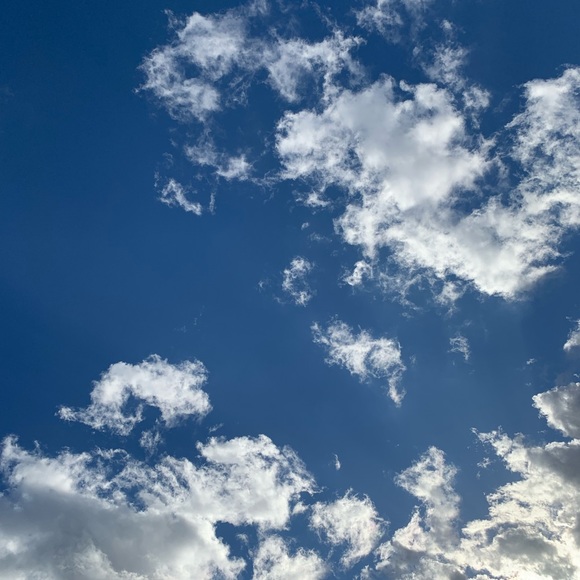 Meet your Posher, Anna - Picture 9 of 14